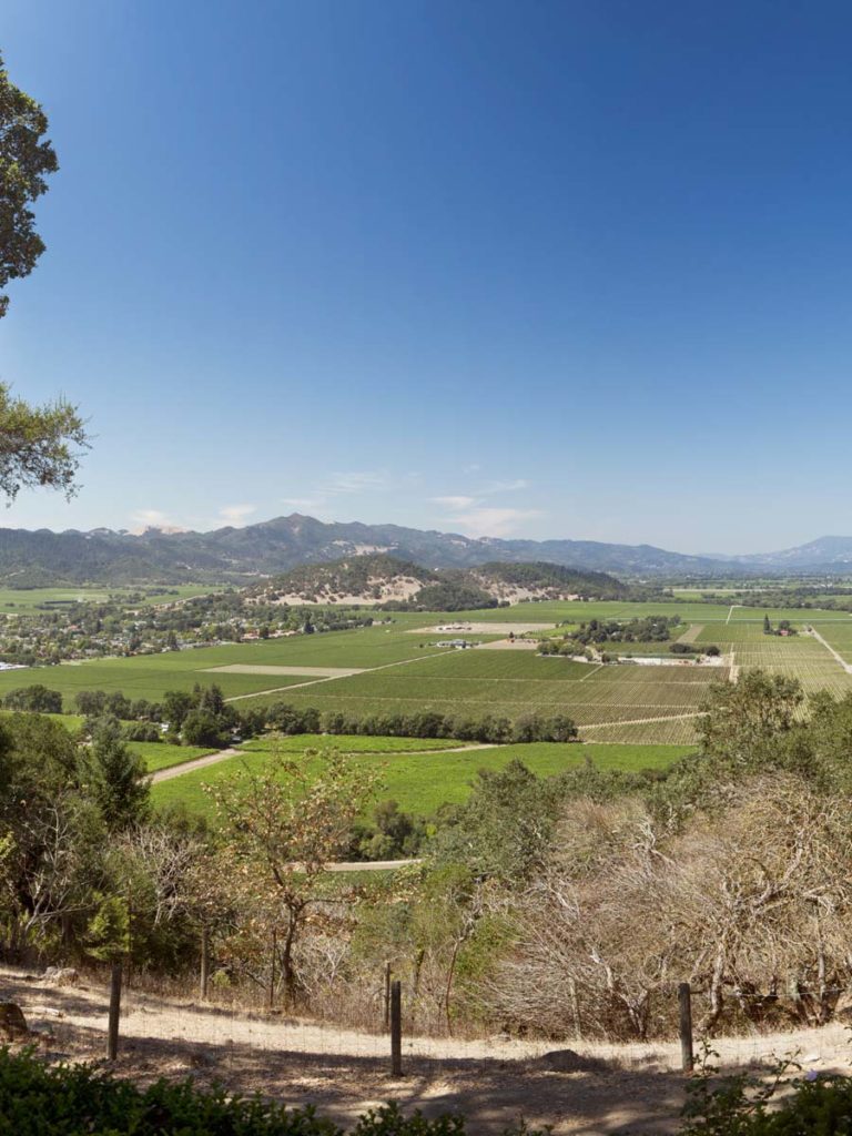 Napa Valley Panorama