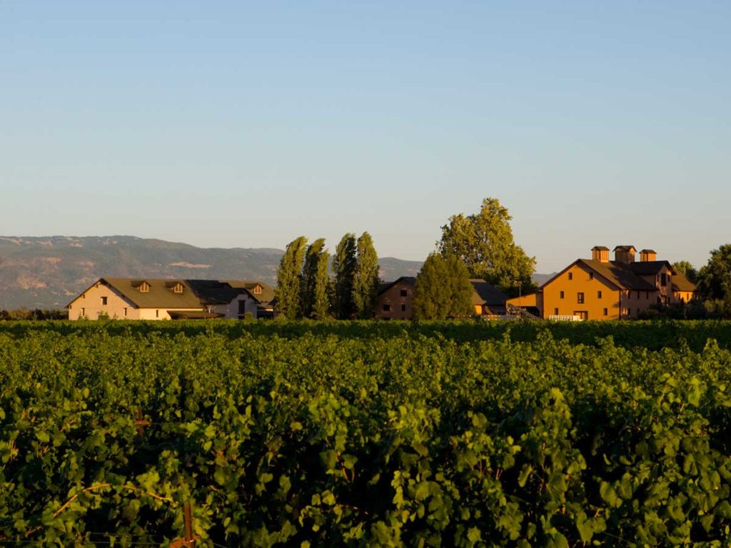 Napa Valley California Vineyard