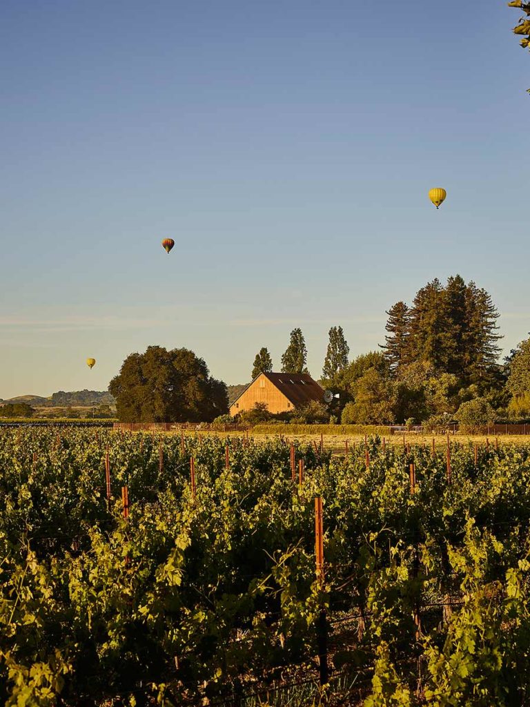Napa Valley Vineyards and Hot Air Balloons