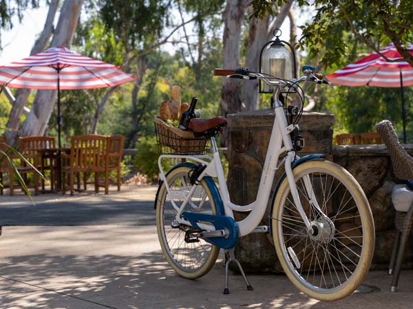 River Terrace Inn Cruiser Bike.