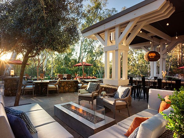 Outdoor Seating And Firepit